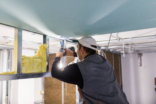 Best Best Insulation Companies  in Laymantown, VA