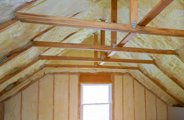 Best Attic Insulation Installation  in Laymantown, VA