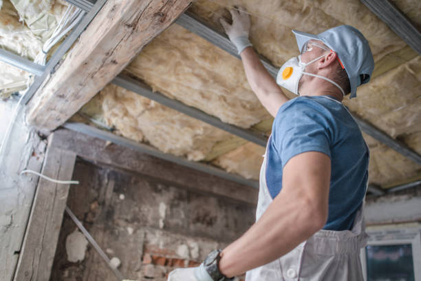 Best Insulation Installation Cost  in Laymantown, VA