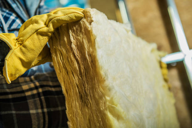 Best Insulation Inspection Services  in Laymantown, VA